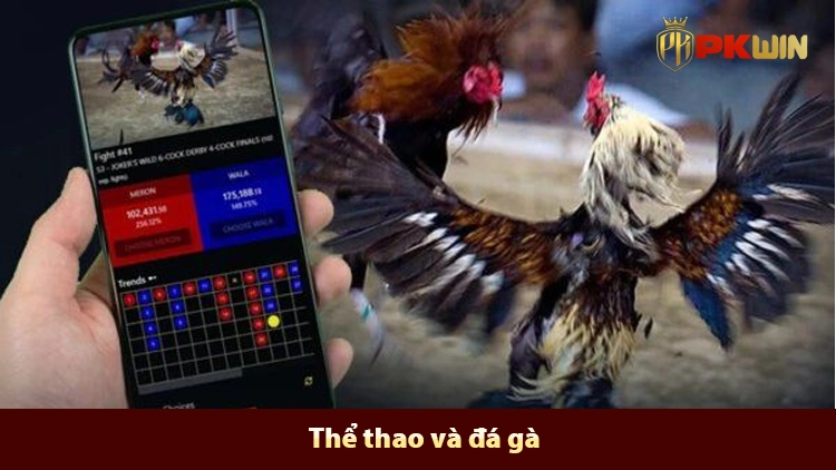 thể thao đá gà